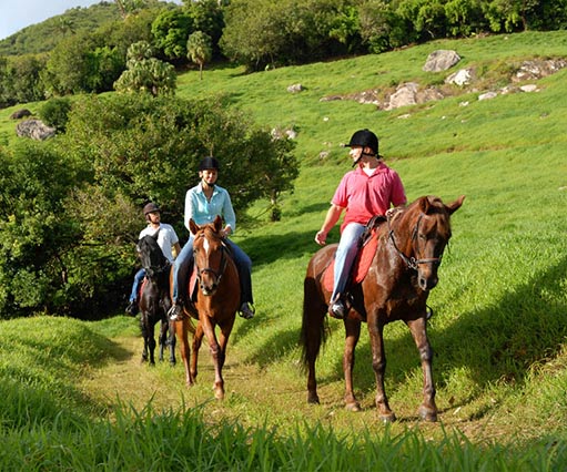 Horse Riding